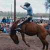 rodeo_farmboy_bareback