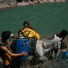 tibet_burros_mekong