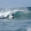 surfing_hawaii